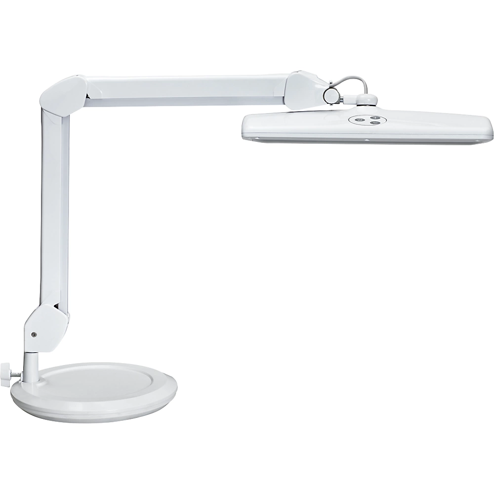 Lampe de bureau LED MAULintro MAUL
