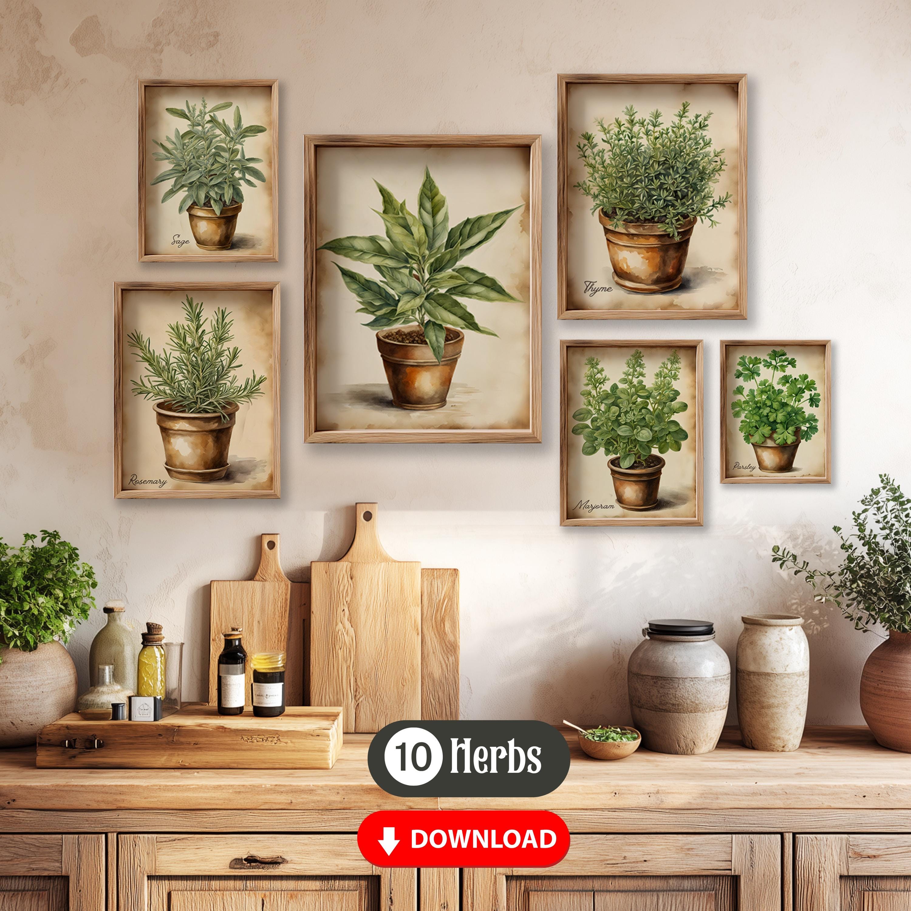 Set di 10 stampe di erbe aromatiche vintage ad acquerello in vasi di terracotta, opera d'arte ad acquerello per giardino di erbe aromatiche, grande ar