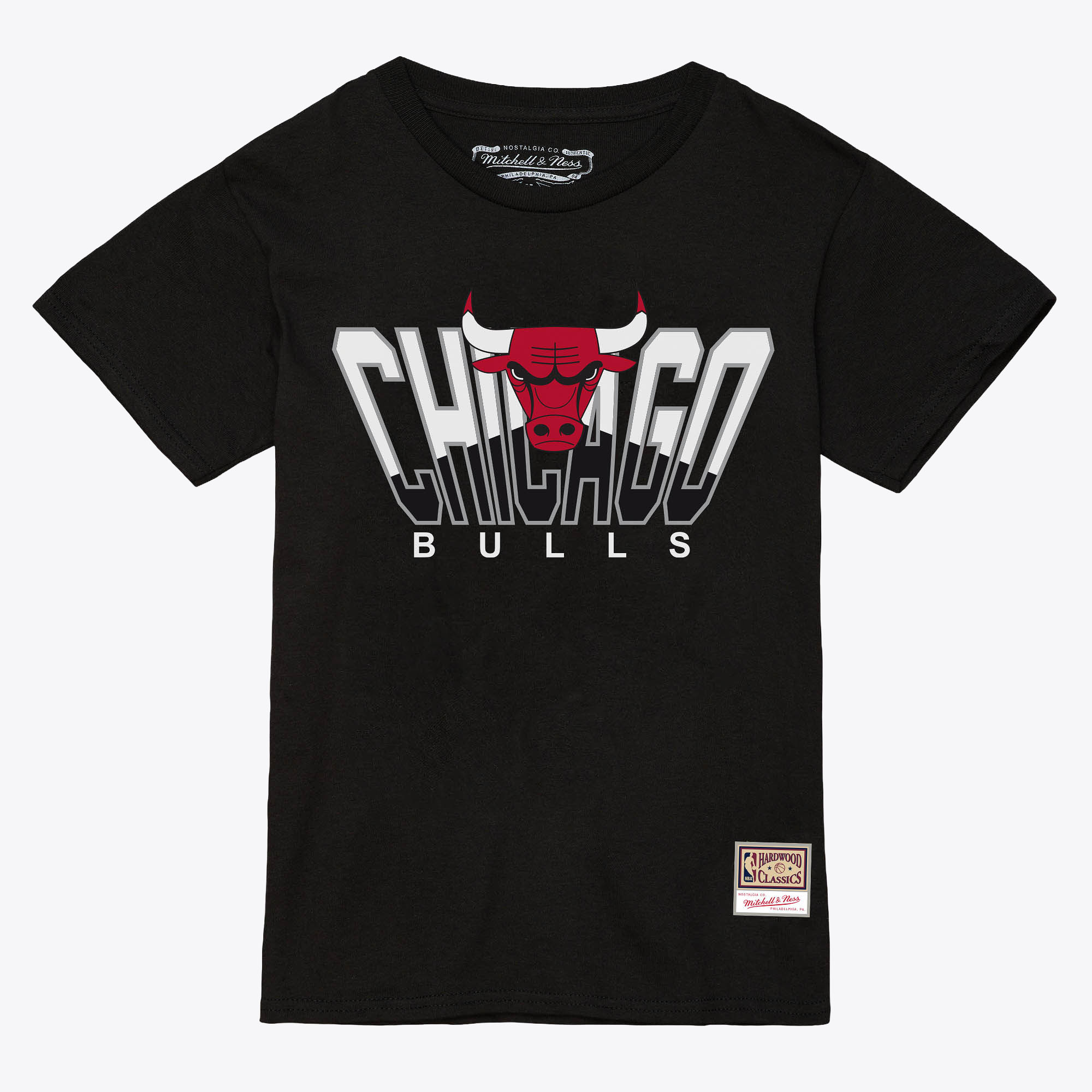 Chicago Bulls Mitchell & Ness Retro Dome T-Shirt Image