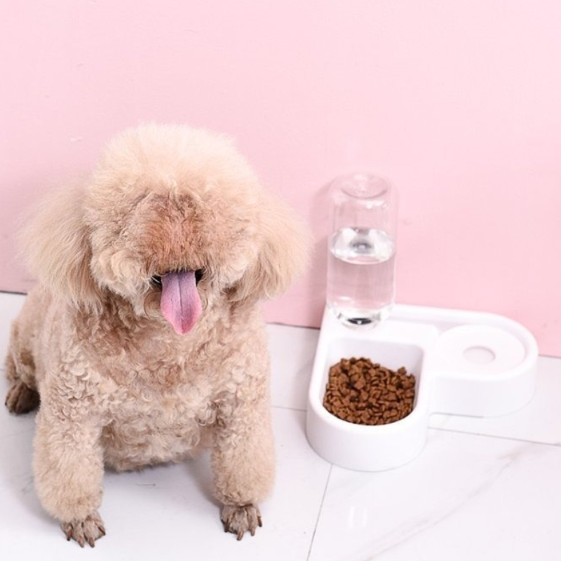 Cat And Dog Double Bowl With Automatic Water Dispenser, Anti Tip Design For Pet Food Cat And Dog Double Bowl With Automatic Water Dispenser, Anti Tip Design For Pet Food