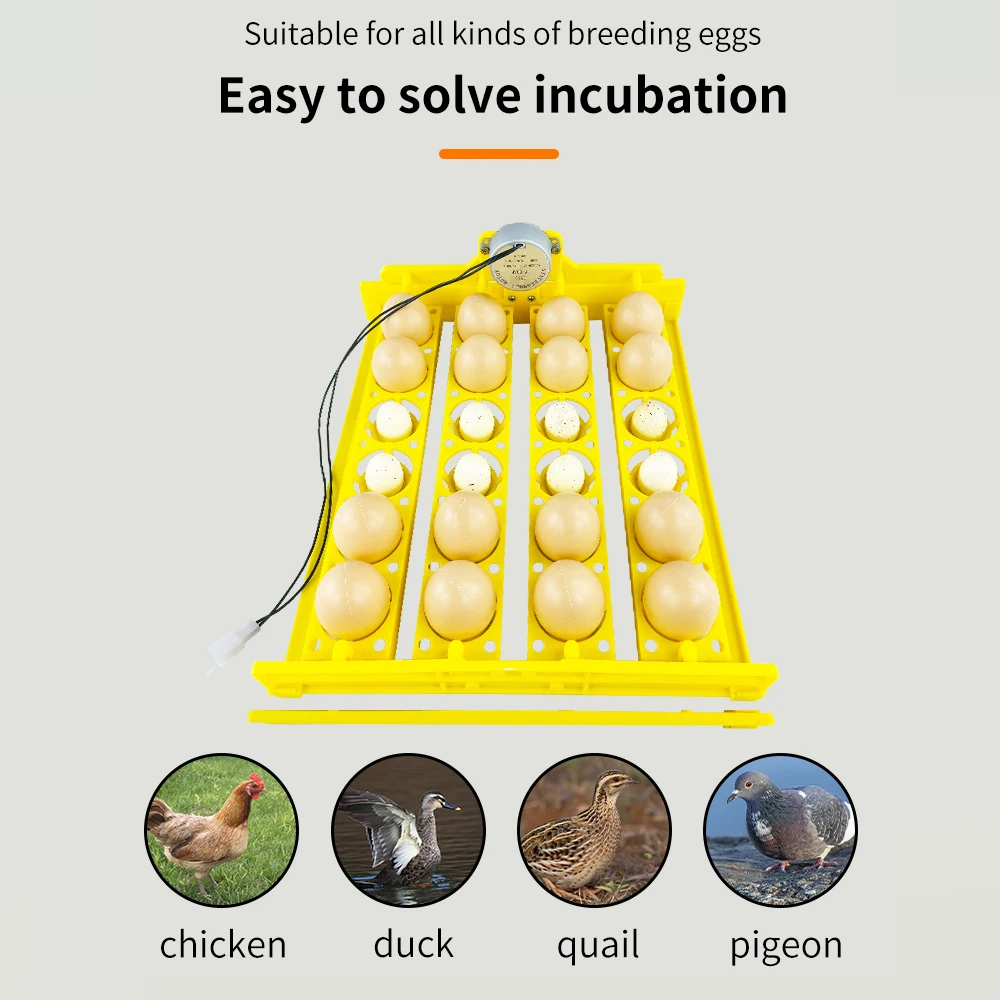 Incubatrice per uova completamente automatica AC 220V Uovo che gira Fiore Piatto per uova Vassoio per uova Hatcher Strumento per incubazione di uova di pollame per pollo uccello