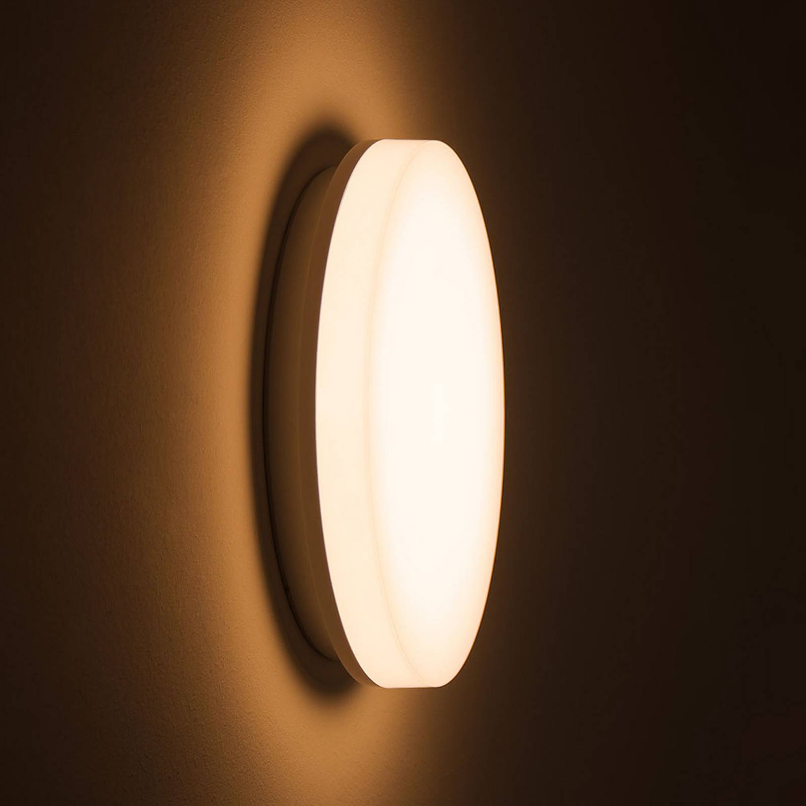 DOTLUX LED-Deckenlampe SURFACE, Ø 25 cm, weiß, PC, CCT, IP54 SURFACE, weiß / opal, für Badezimmer, Kunststoff