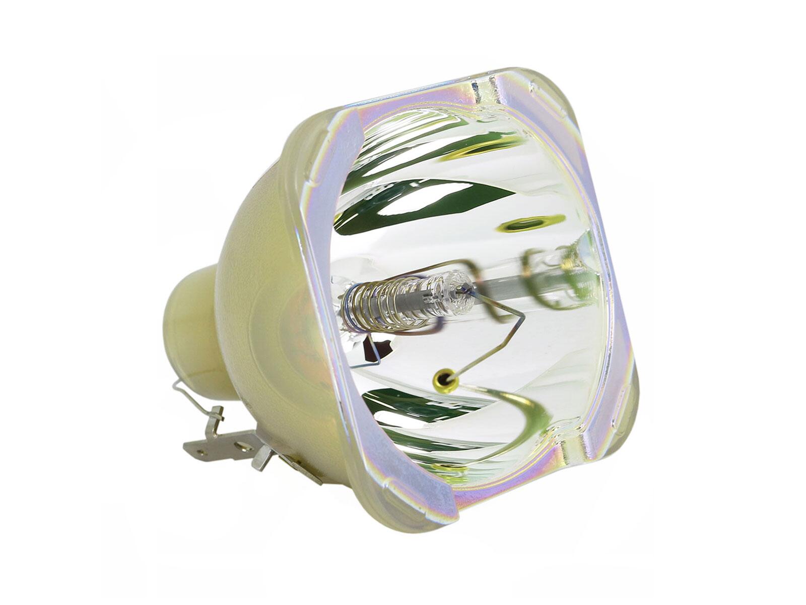 Nackte Philips Lampe OPTOMA X515 Bulb-SP.72109GC01 / BL-FU365A Nackte Philips Lampe Image