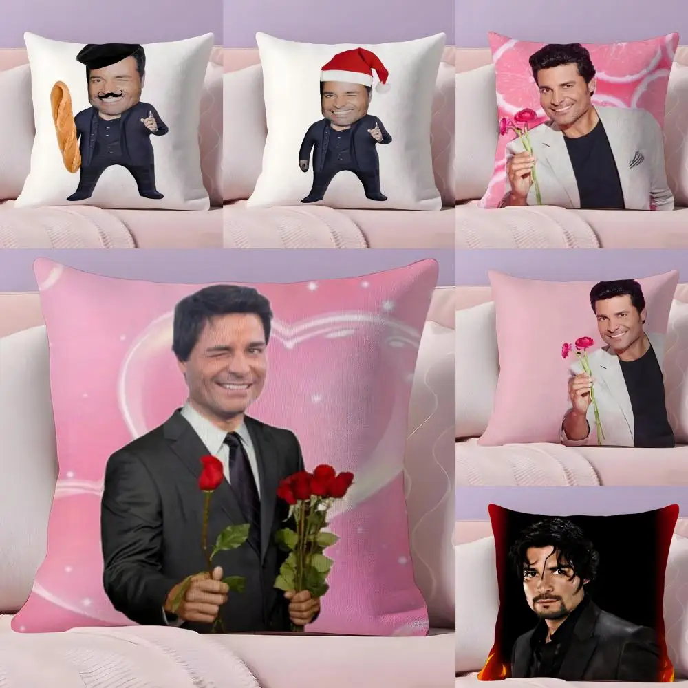 C-Chayanne Chiquito M-Meme Kissenbezug, Plüschstoff, weich, doppelseitig bedruckt, Sofa, warm, Winter, Zuhause, Geschenk, Kissenbezug Image