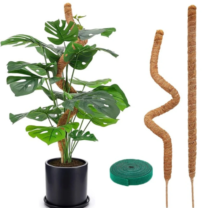 Biegsame Moosstange, Verlängerungsstange zur Kletterstütze für Pflanzen, Monstera Palm Vines Soporte Stakes, Zubehör für Topfpflanzen im Garten Image