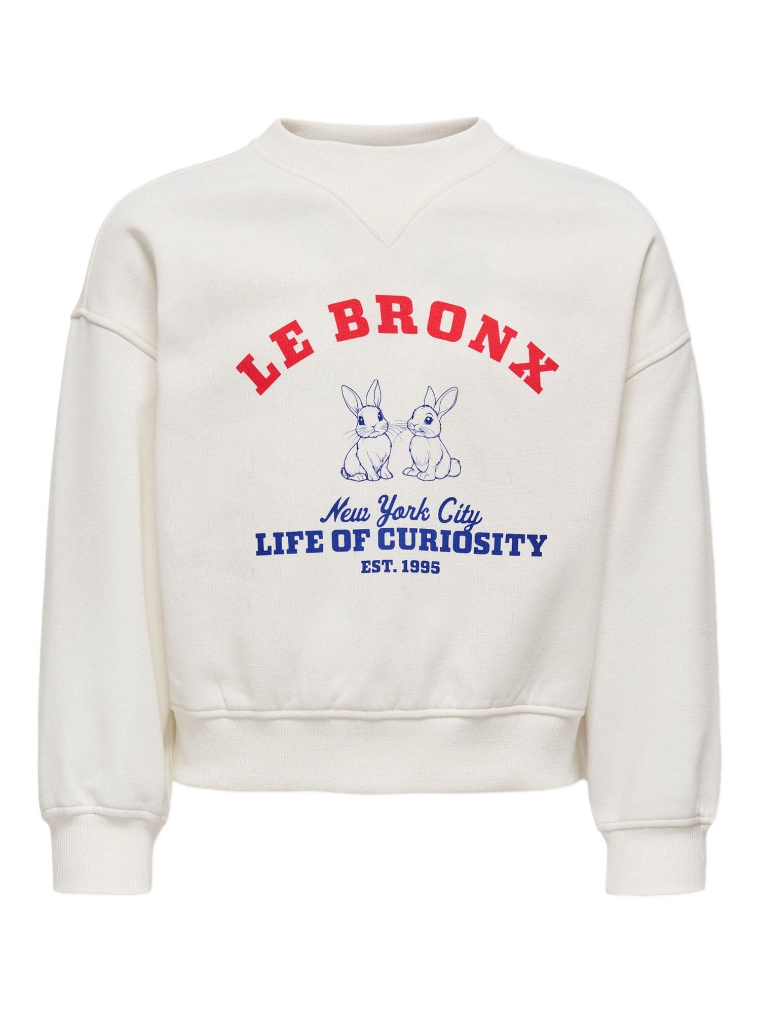 Kids Only Pullover Image