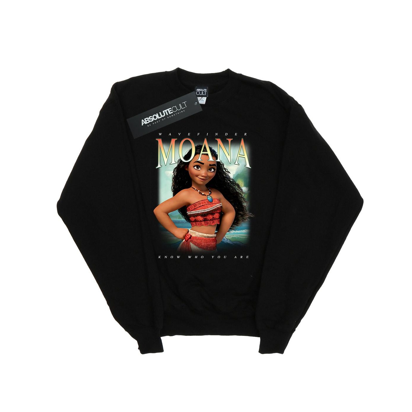 Disney - "Moana Montage" Sweatshirt für Herren (Schwarz) Image