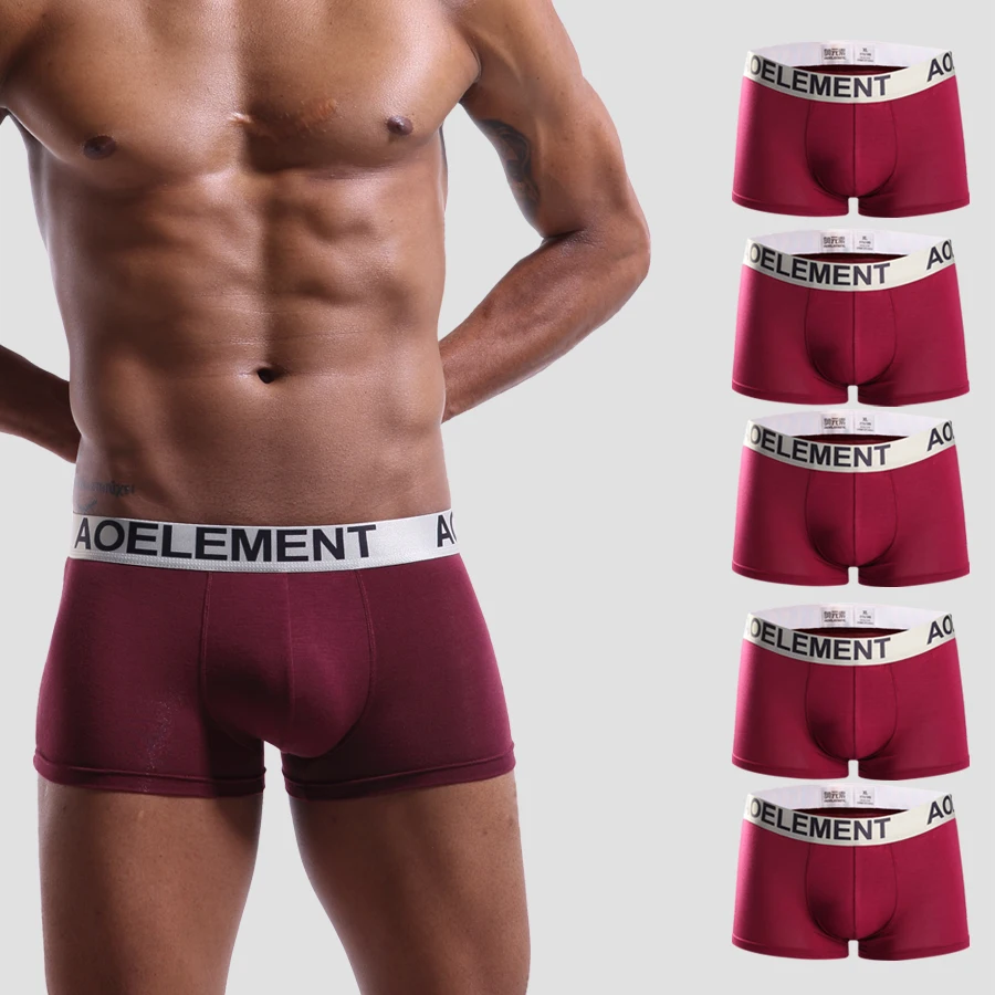 5 Stück Herren-Slips: Dünn und atmungsaktiv, Frühlings-/Sommer-Boxershorts, bequeme, einfarbige mittelhohe Boxershorts, Jungen-Jugendhosen Image