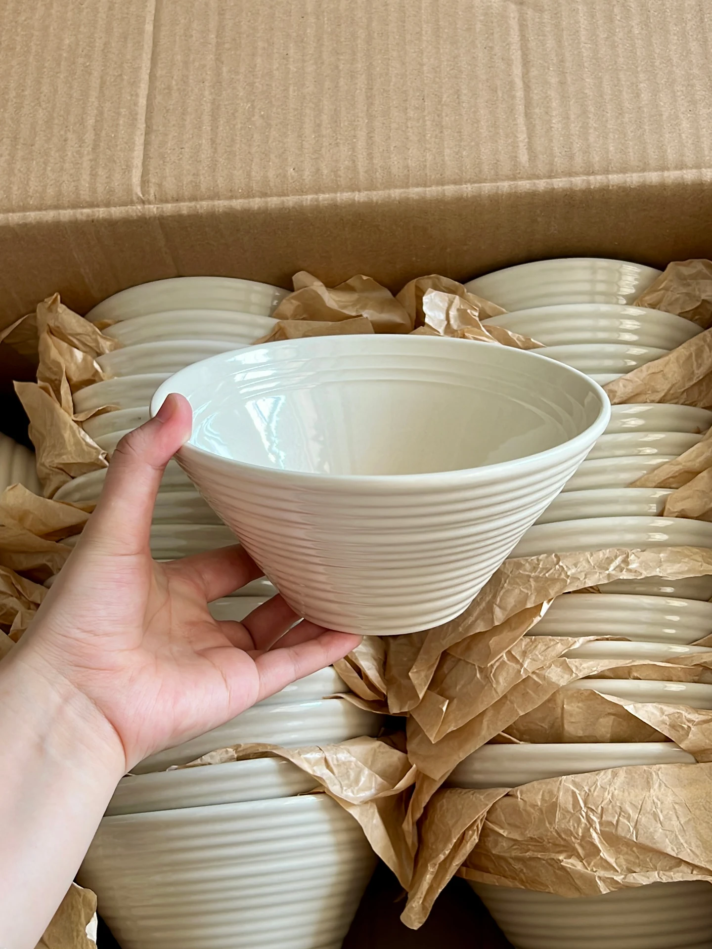Japanese Style Ceramic Rice Bowl Recessed Rim Noodle Soup Salad Bowl Vintage Premium Porcelain Dinnerware Household Tableware
