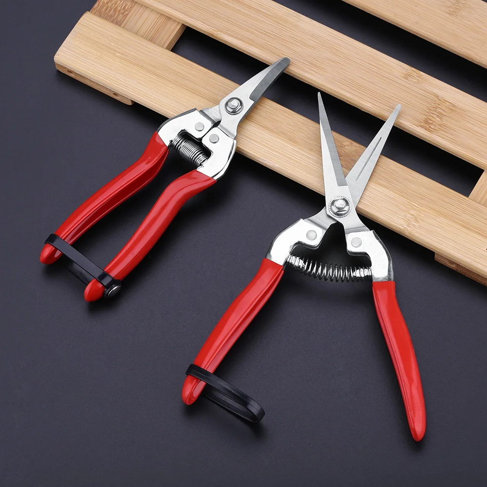 Robuste Obstbaum Bonsai Gartenarbeit Gartens chere Gartens chere Gartens chere Werkzeug Obsts chere Gartens chere Obstbaum schere Image