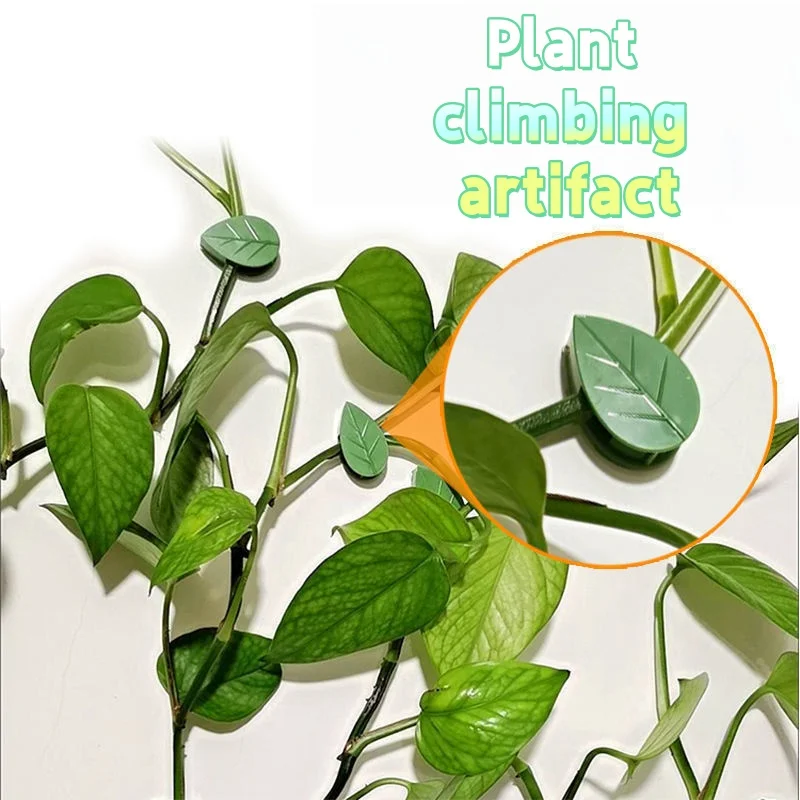Grüner Weinrebenfixierer im Blattstil, grünes Pflanzen-Kletterartefakt, an der Wand montierter Wassermelonenreben-Befestigungsclip, spurloser Fixer für grüne Pflanzen Image