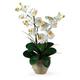 Nearly Natural Double Phalaenopsis Artificial Orchid Flower Arrangement Cream