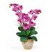 Nearly Natural Double Phalaenopsis Silk Orchid Flower Arrangement Orchid