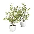 Nearly Natural 18 Olive Silk Tree with Vase Arrangement - Set of 2 - Green