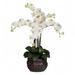 Nearly Natural Phalaenopsis with Decorative Vase Artificial Flower Arrangement Cream