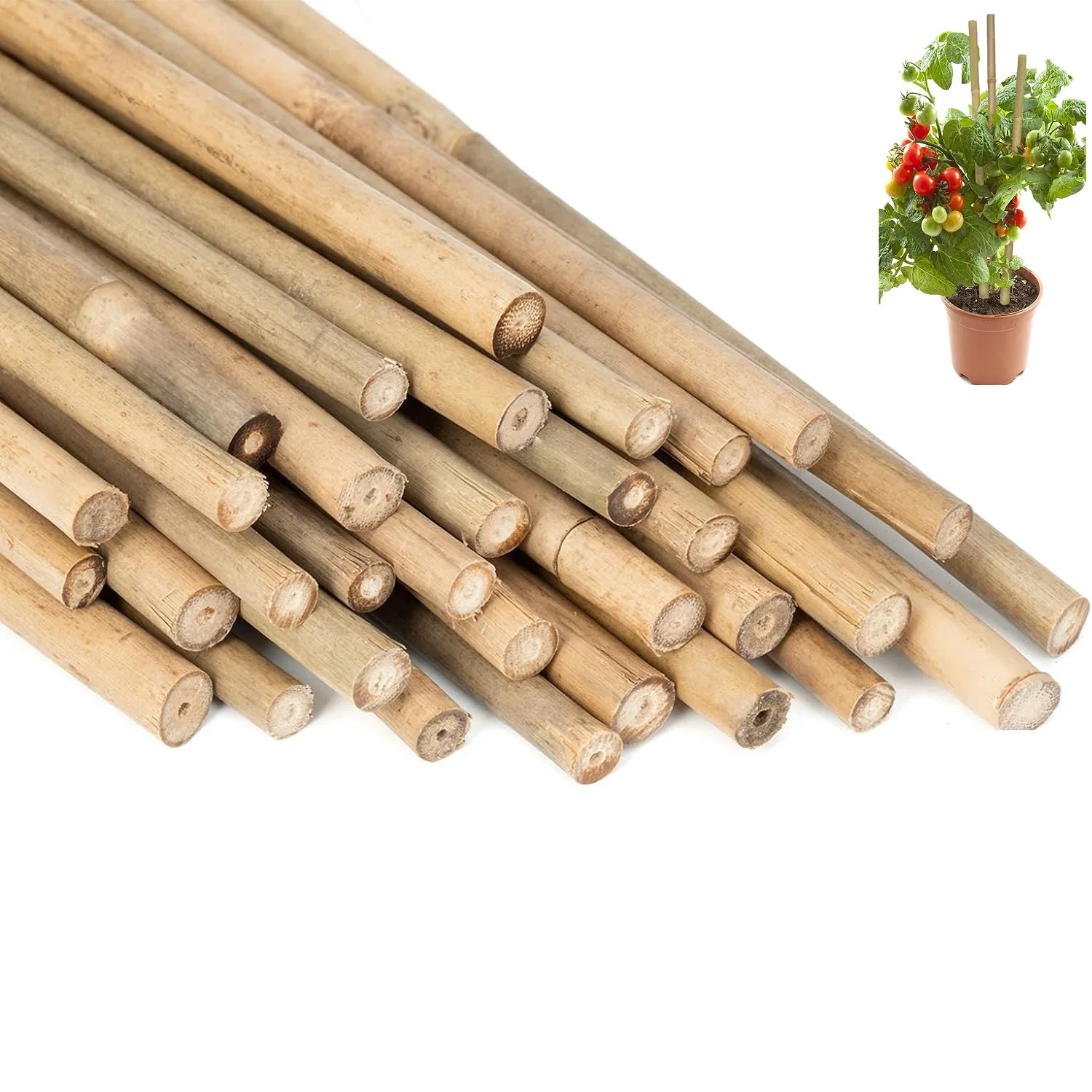 10 stücke, Bambus pflanzen pfähle Garten unterstützung pfähle Bambus stangen gitter für Tomaten gemüse Image