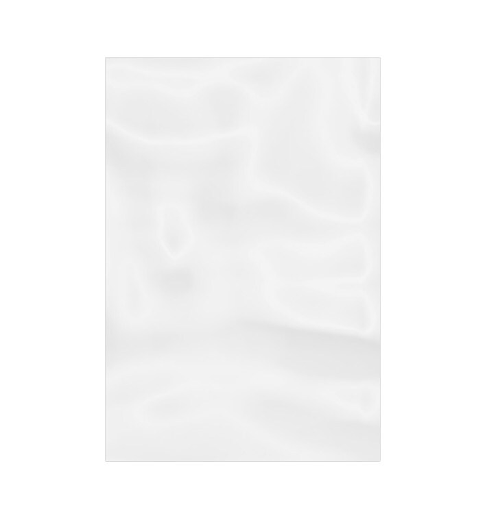 MONOUSO - Beutel aus Polyethylen Ohne Verschluss 10x15cm G100 (100 Stück) Image