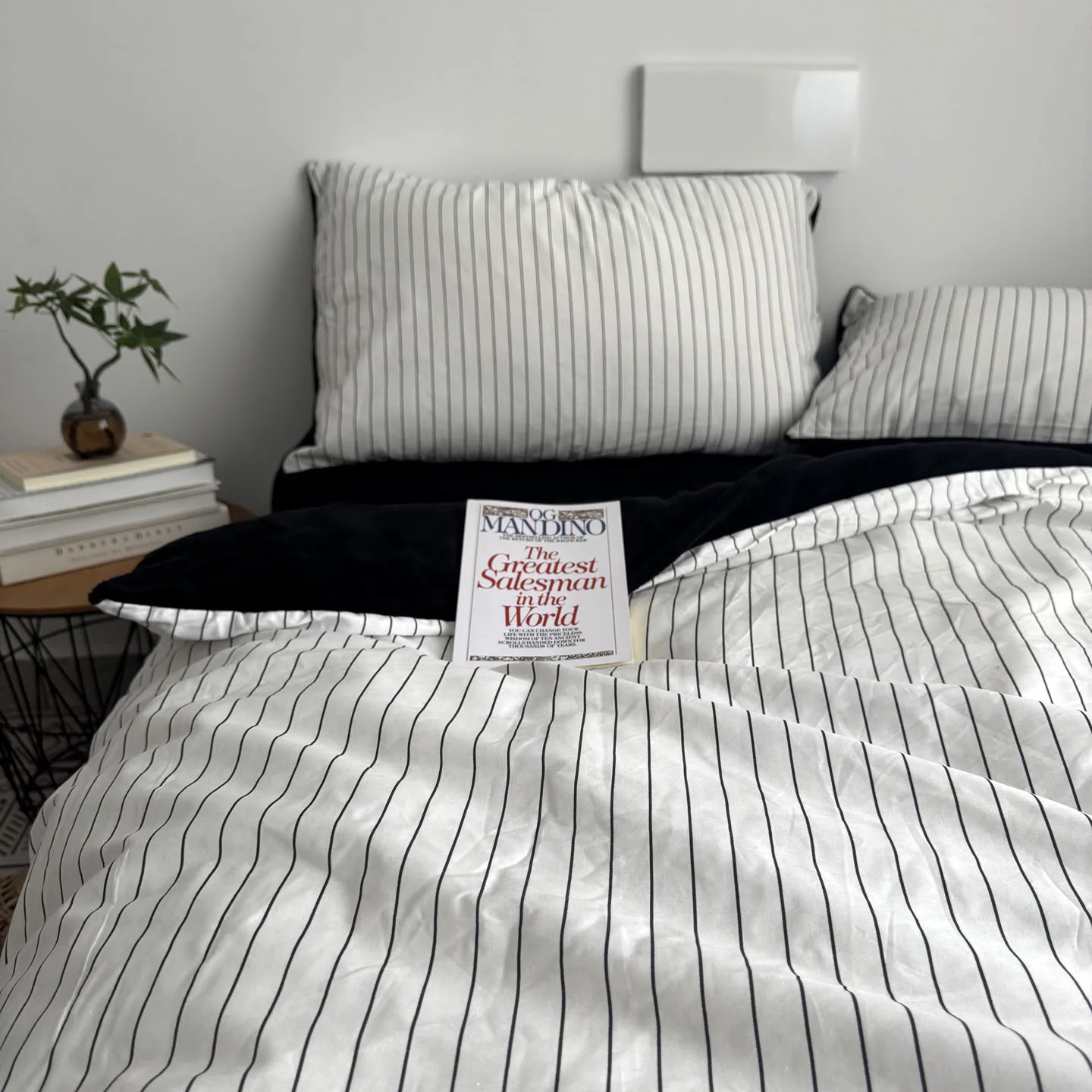 Gestreiftes Bettbezug-Set aus Premium-Baumwolle und Milchsamt, 4-teiliges Bettwäsche-Set für Winterwärme – minimalistischer Stil, mehrere Farben Image