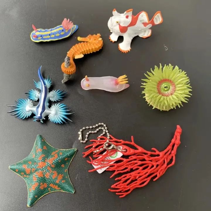 Japanische Ausgabe Kitan Ntc Marine Life Gashapon – Küsten-/Shallow Sea Creatures Collection Image