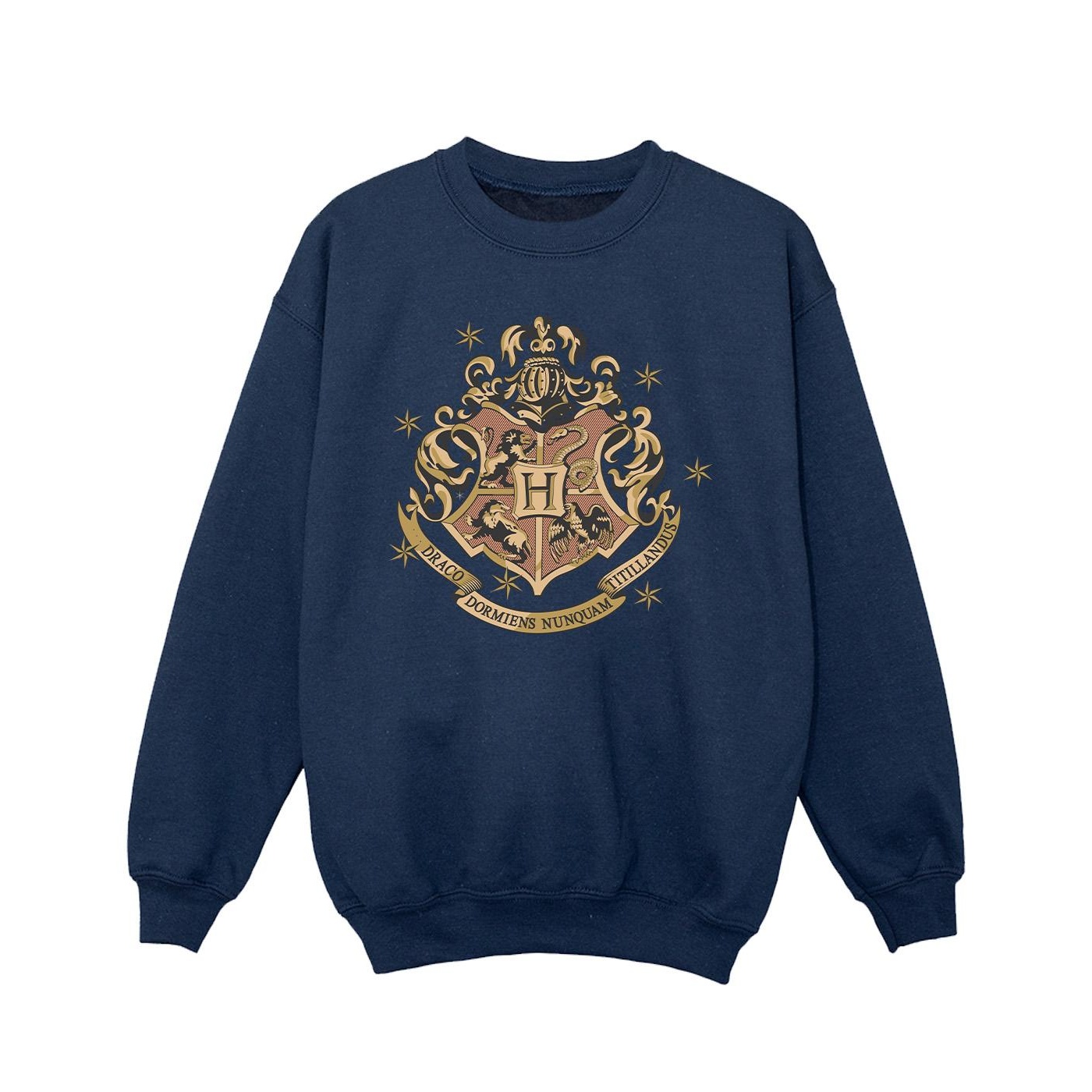 Harry Potter - Sweatshirt für Mädchen (Marineblau) Image