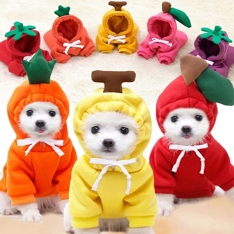 Plush Cartoon Fruit Pet Winter Fleece frog s