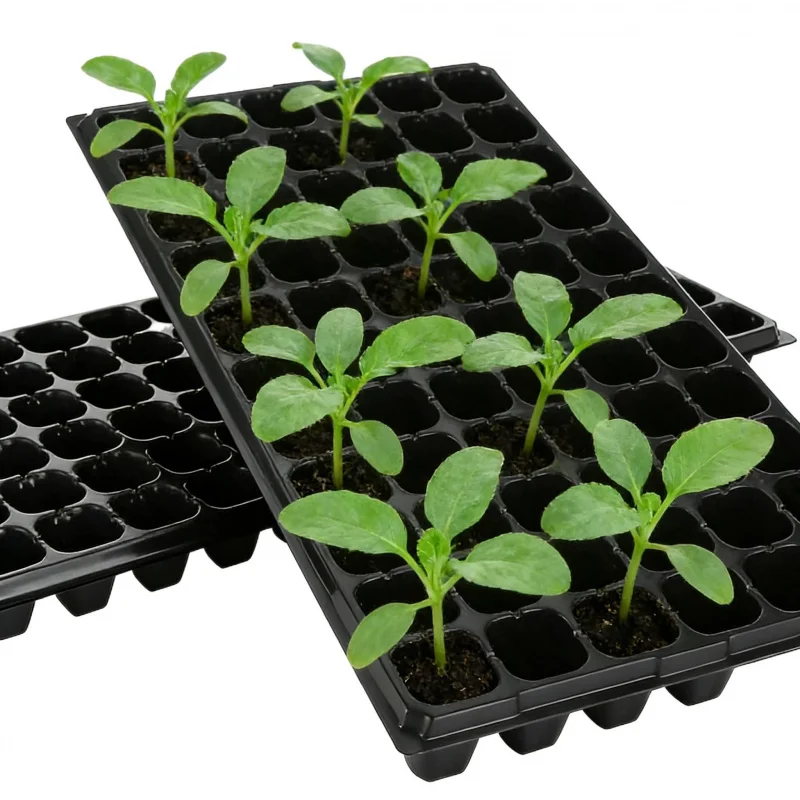 10PCSSeilung Töpfe Sukkulente Sämling Box Hause Gartenarbeit Gewächshaus Aussaat Keimung Töpfe Hof Balkon Pflanzen Zu Image