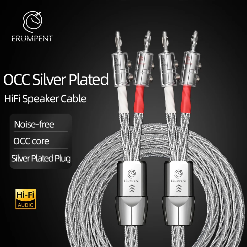 Ein Paar versilberte OCC-Lautsprecherkabel mit Bananen-/Pin-Stecker, HiFi-Lautsprecherkabel für den Verstärkeranschluss, spezielles Kabel Image