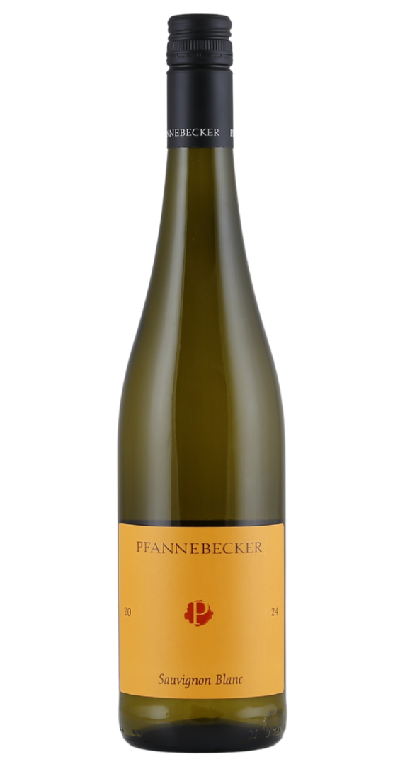 Pfannebecker Sauvignon Blanc 2025 Image