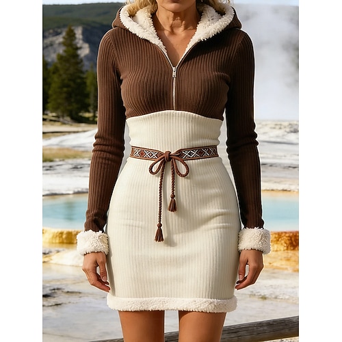 Femmes Mini Robe Robe à Capuche Mini-robe Robe moulante ancien Mode Moderne Quotidien Vacances Sortir Coupe régulière Bloc de Couleur manche longue À capuche Marron Automne Hiver