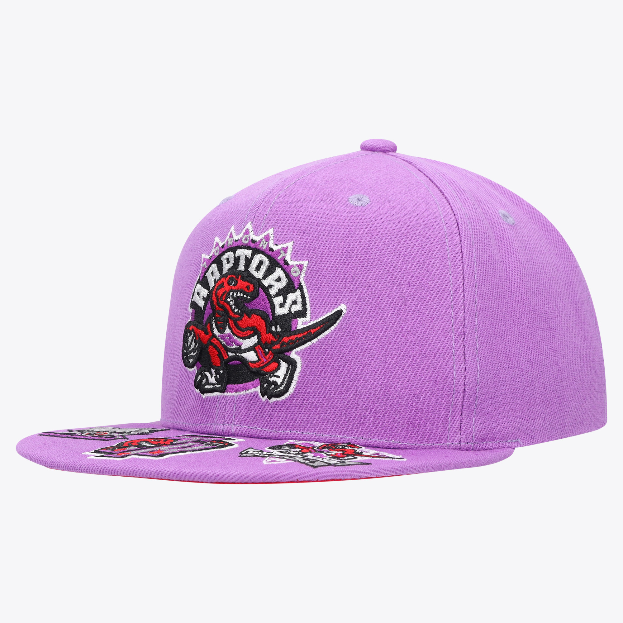 Toronto Raptors Mitchell & Ness Snapback-Cap (HWC) Image