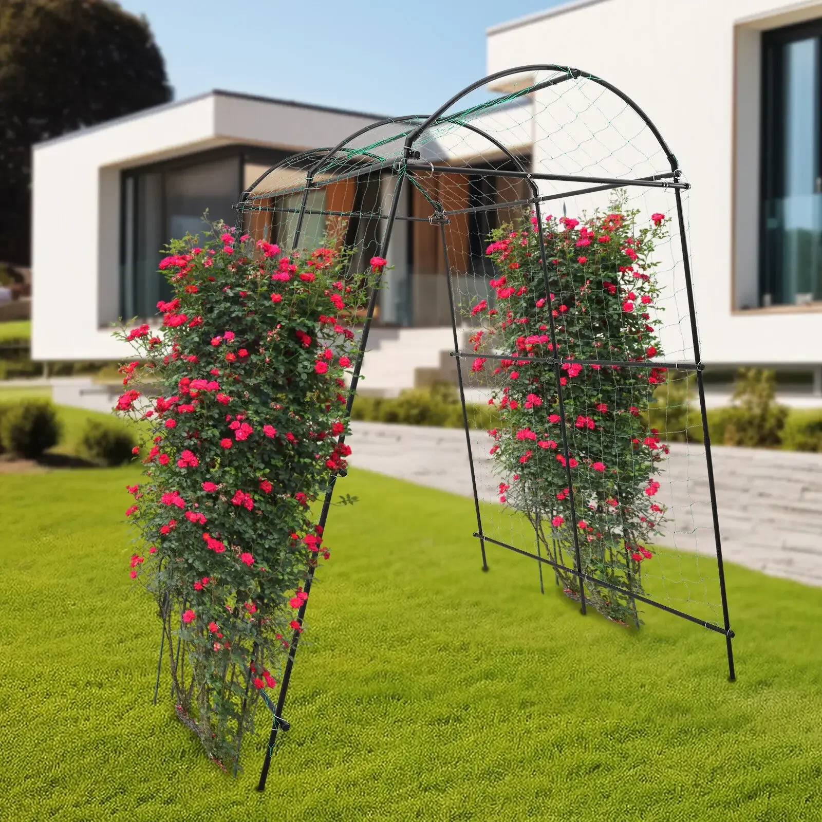 Décor extérieur maison jardin cour jardin décor plantes grimpantes arc, métal jardin Rose arc 3.77*6.00*7.55ft noir