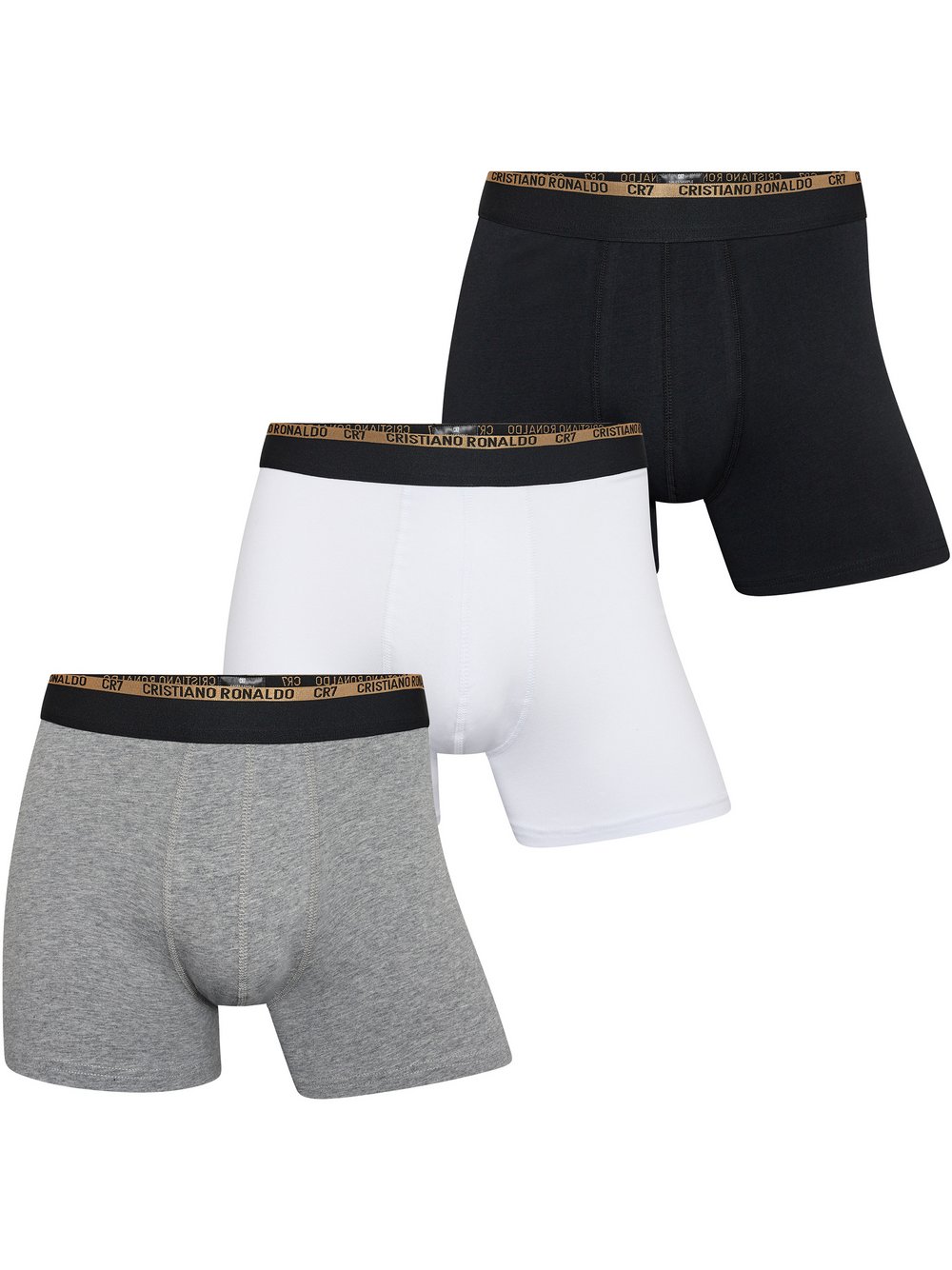 CR7 Retro Pants Herren mehrfarbig, L Image
