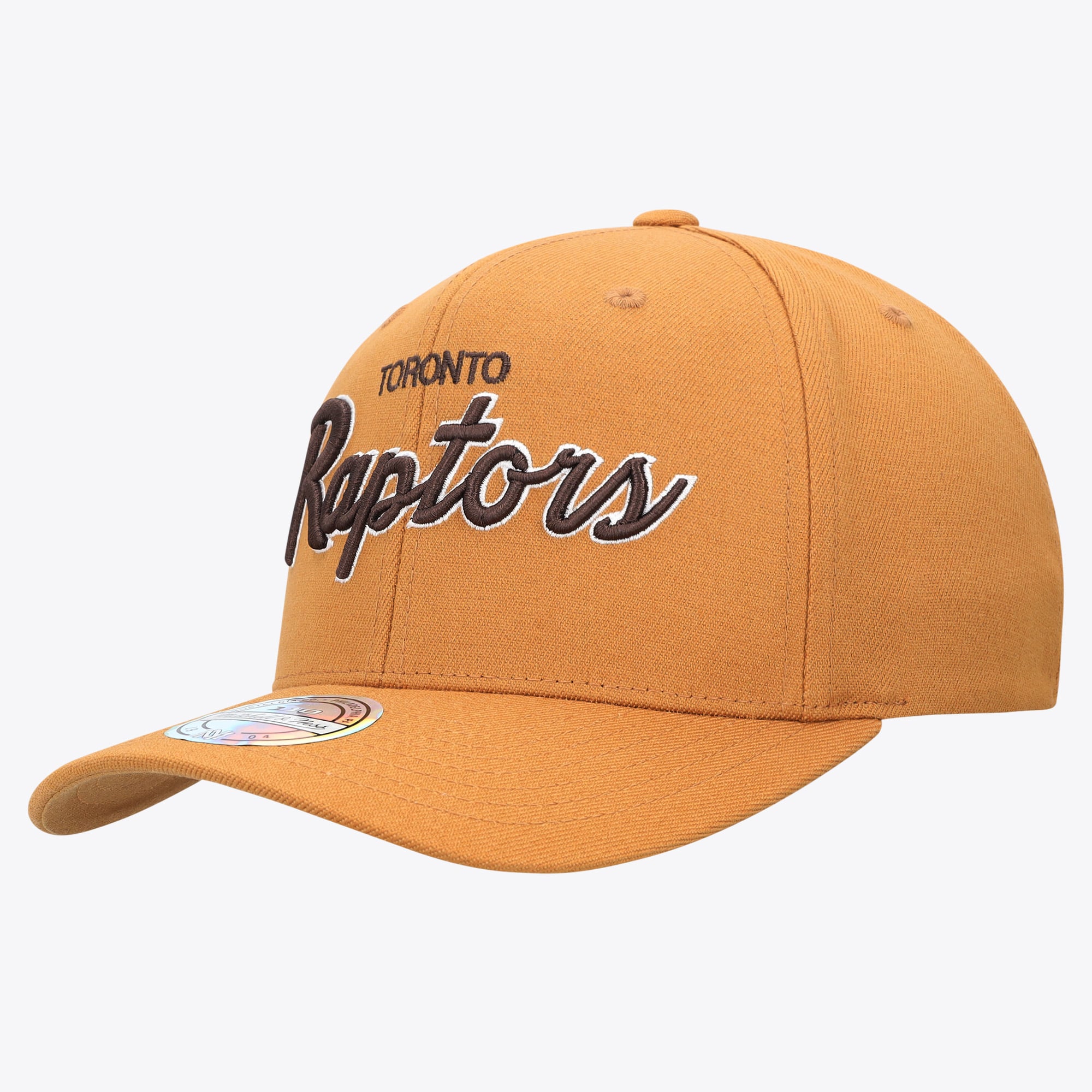 Toronto Raptors Mitchell & Ness Classic Script Snapback Cap 110