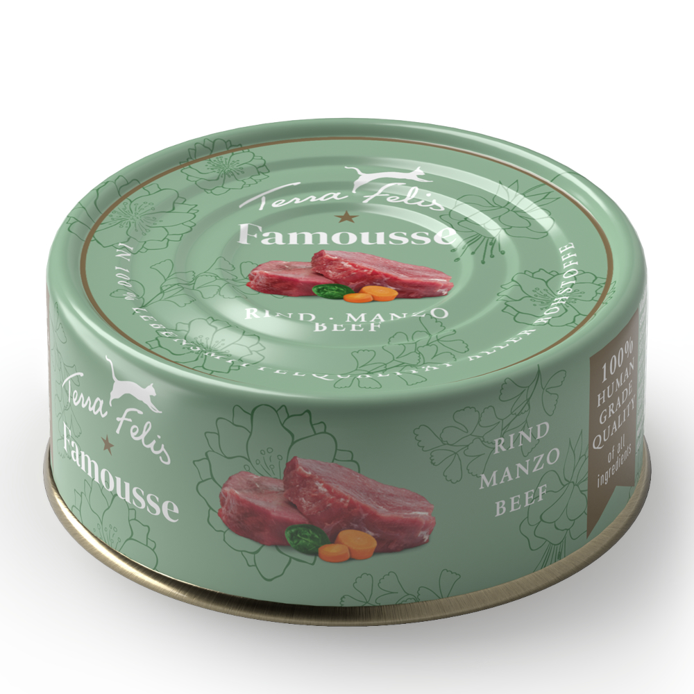 Terra Felis Famousse 12 x 80 g - Manzo