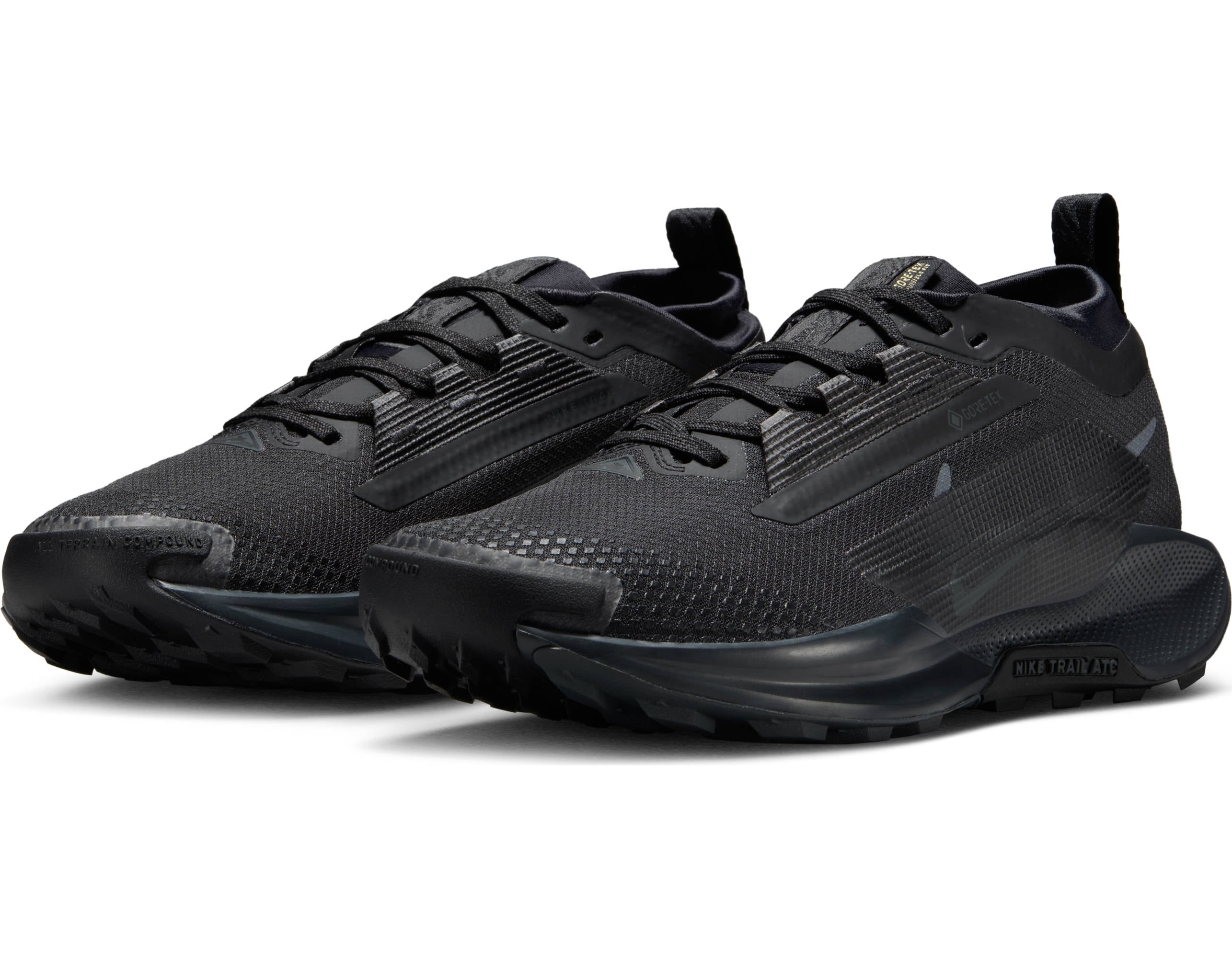 Trailrunningschuh NIKE "Nike Pegasus Trail 5 GORE-TEX", Damen, Gr. 38, schwarz, schwarz, anthrazit, Synthetik, Textil, Schuhe, wasserdicht