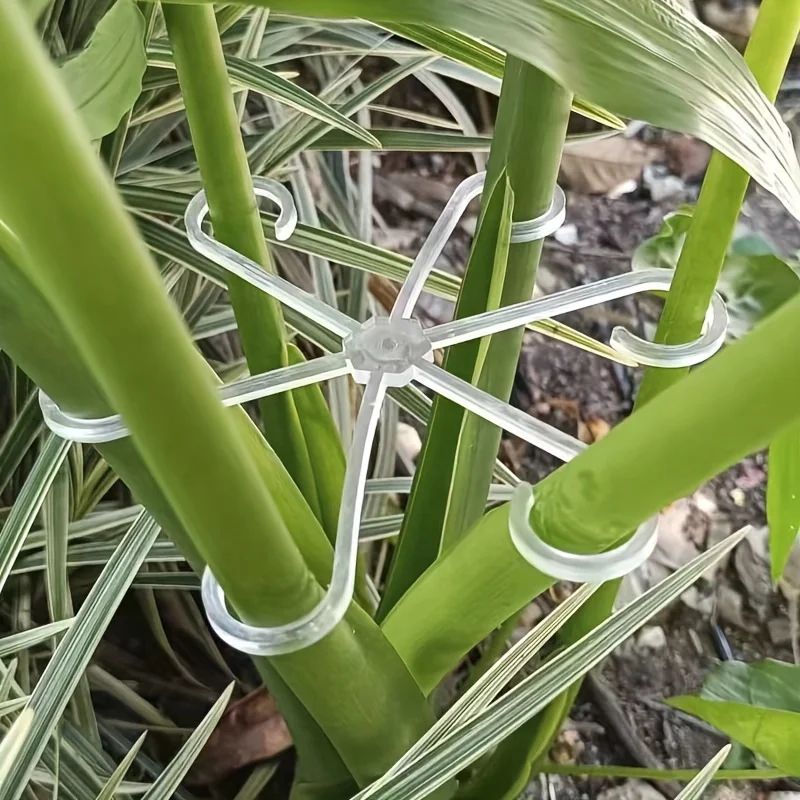 Plant Support Clips Set green