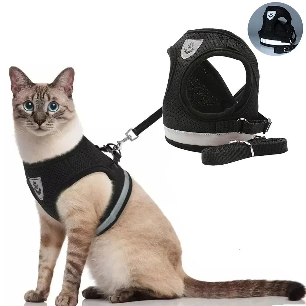 Mesh Comfort Reflective Cat And Small Dog Harness Set red xl