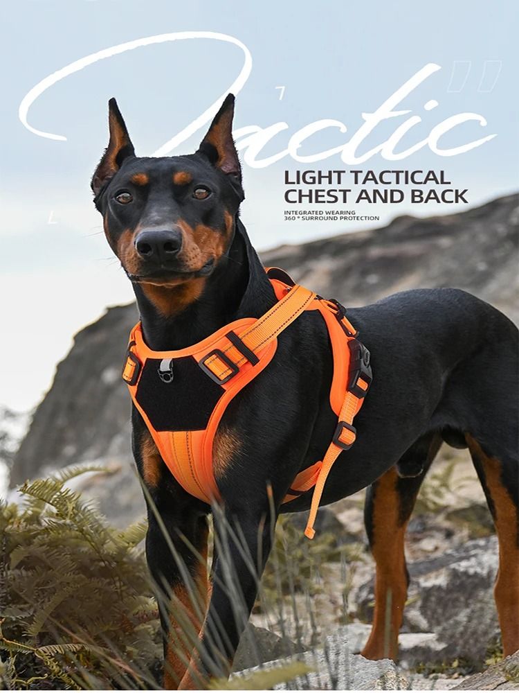 Professional Tactical No Pull Reflective Dog Harness Vest orange l