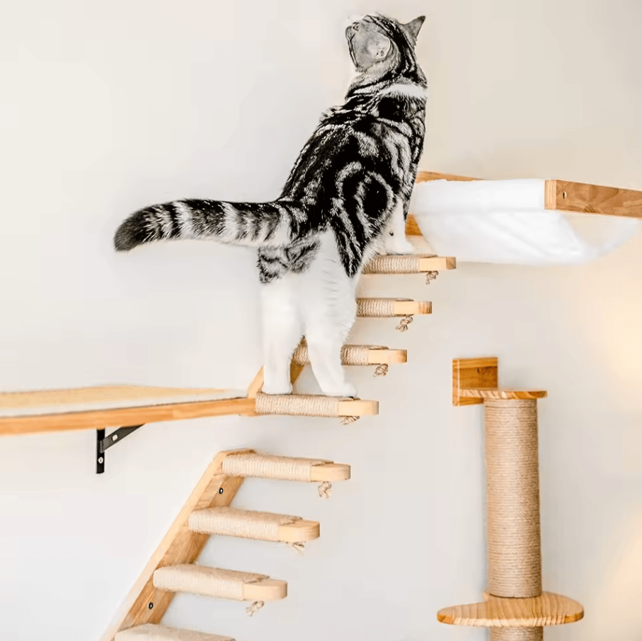 Wall Mounted Cat Hammock Bed With Wooden Shelf And Scratching Post For Indoor Cats set 61