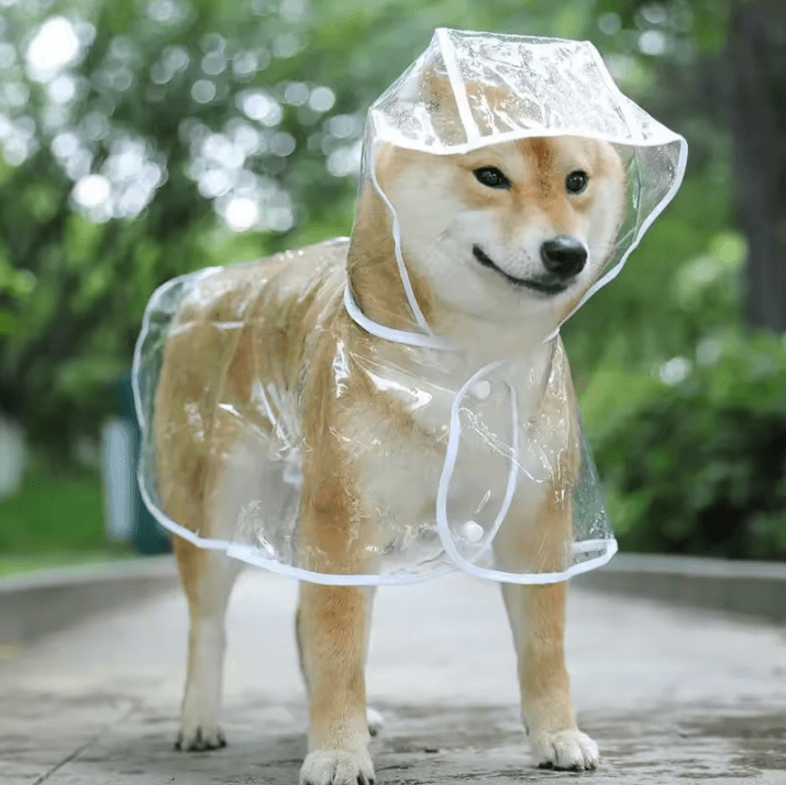 Transparent Hooded Dog Raincoat Waterproof Pet Rainwear Jacket For Small Dogs & Puppies white m