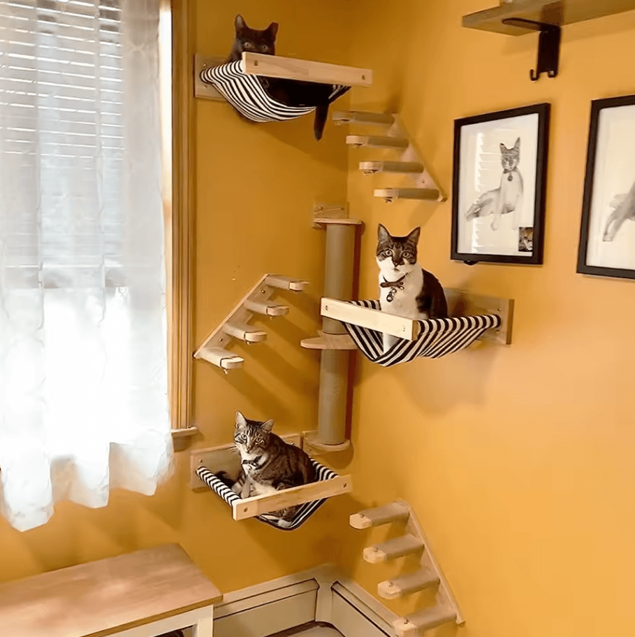 Wall Mounted Cat Climbing Shelves Wooden Cat Tree With Scratcher Rope Ladder And Sleeping Platform scratch Column