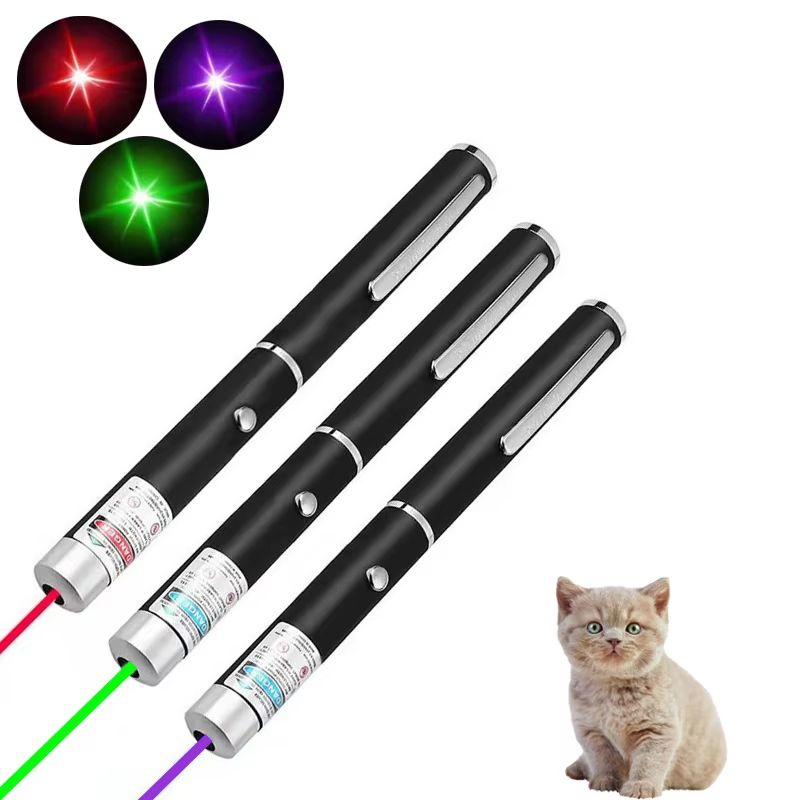 2 in 1 Mini Laser Pointer And LED Pet Training Flashlight For Cats And Small Pets usb green