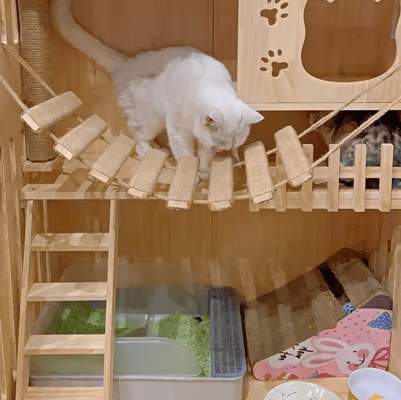 Wall Mounted Cat Bridge And Climbing Ladder With Sisal Scratcher For Indoor Cats cat Hammock 1