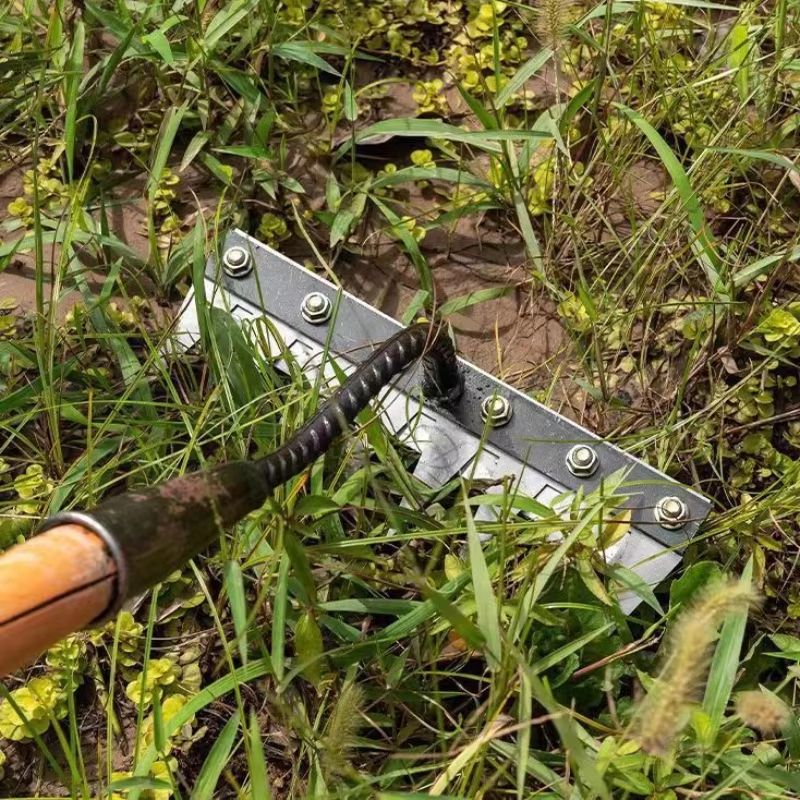 Carbon Steel Garden Hand Rake For Weeding And Soil Care 5 Teeth