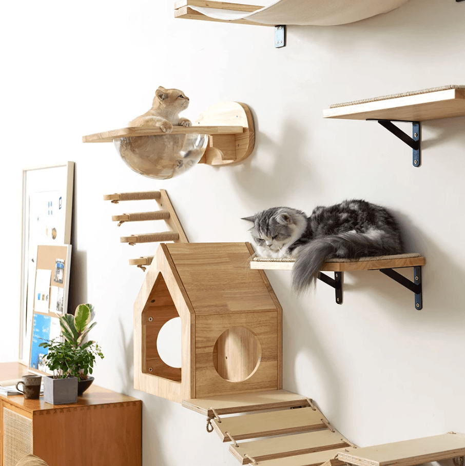 Wall Mounted Cat Shelves With Hammock And Steps For Indoor Climbing And Rest cat Bed