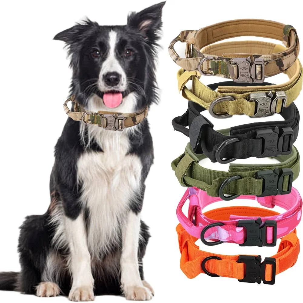Tactical Military Dog Collar With Integrated Control Handle orange l