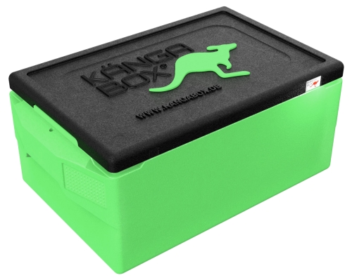 KÄNGABOX® Thermobox Professional GN 1/1 - Comfortgriffe : lime Image