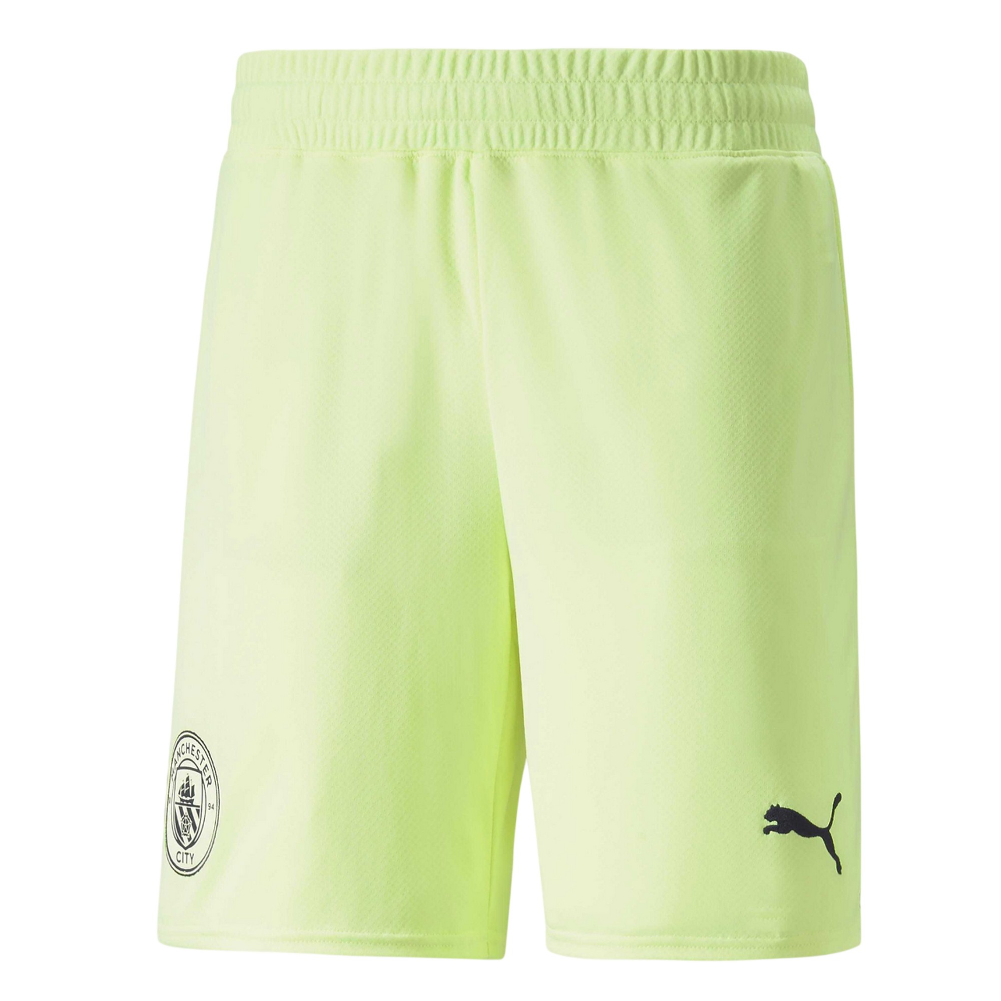 Puma - Shorts für Herren (Grün)