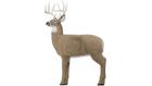 Field Logic Glendel Full Rut Buck with Vital