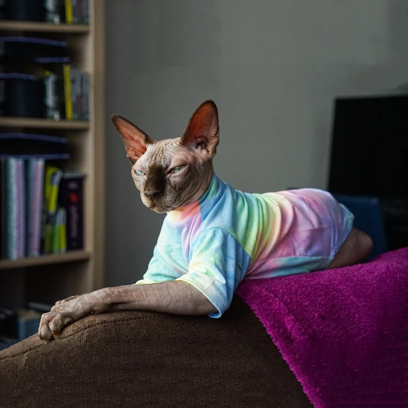 Sphinx haarlose Katzenkleidung Deven Atmungsaktives T-Shirt für Katzen Stretch-Stoffkleidung für Kätzchen Haustier-Shirt Mäntel für Welpen Image